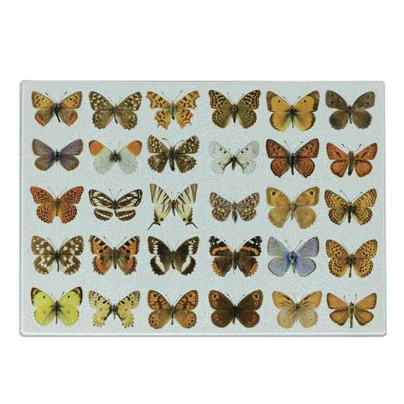 Butterfly Cutting Board, Butterfly Miracle Wings Joy Freedom Feminine Divine Sign Concept Art, Decorative Tempered Glass Cutting and Serving Board, Small Size, Multicolor, by Ambesonne