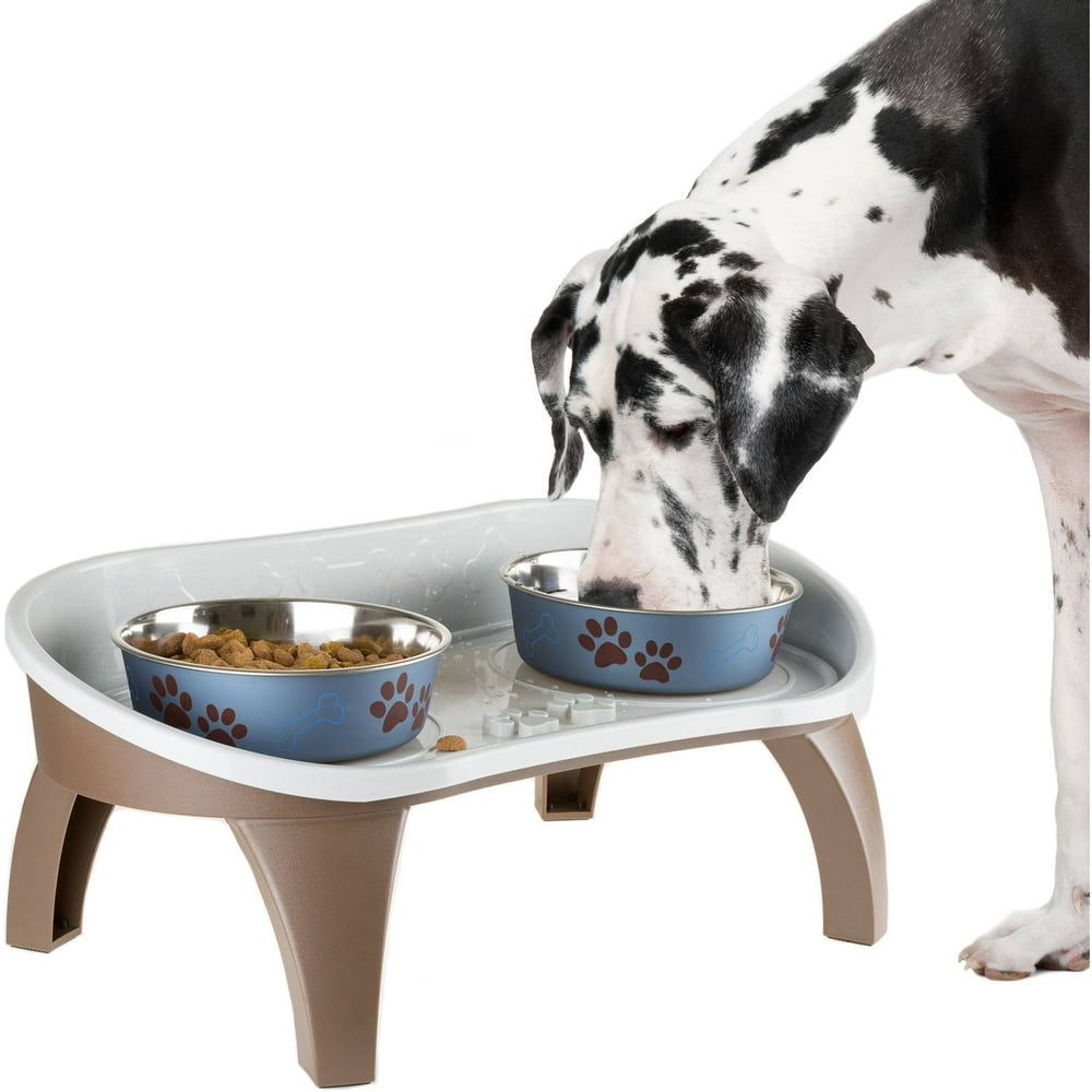 Petmaker Elevated Pet Feeding Tray with Splash Guard and NonSkid Feet