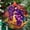 Grapes1807, variant on Lemons Suncatcher Indoor/Outdoor Ornament Window Hanging Handmade Suncatchers Home Decor Garden Christmas Party Wedding Housewarming Gifts, 2025, 2025, Holiday Decoration,
