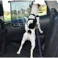 thumbnail image 6 of PlacerMe Dog Reflective Mesh Collar Harness Leash Adjustable-Travel Walk Strap No Pull No Tug, 6 of 11