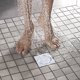 thumbnail image 1 of El recogedor de pelo cuadrado de acero inoxidable drena los accesorios de baño sellados contra el olor, 1 of 8