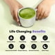 thumbnail image 4 of Everyday Dose Mushroom Matcha Plus 210 g Suplemento en Polvo con Matcha Japonés, Hongos Funcionales y Colágeno, 4 of 4