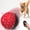 Red+Black(with remote control), variant on QDAN Smart Interactive Dog Toy Ball, Electric Self-Moving Dog Toy, Automatic Rolling, Bouncing, Rotating, E-TPU Durable Material for Puppy, Medium and Large Dogs with Remote Control, Red & Black