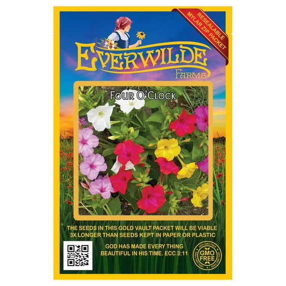 Everwilde Farms - 50 Mixed Four O Clock Garden Flower Seeds - Gold Vault Jumbo Bulk Seed Packet