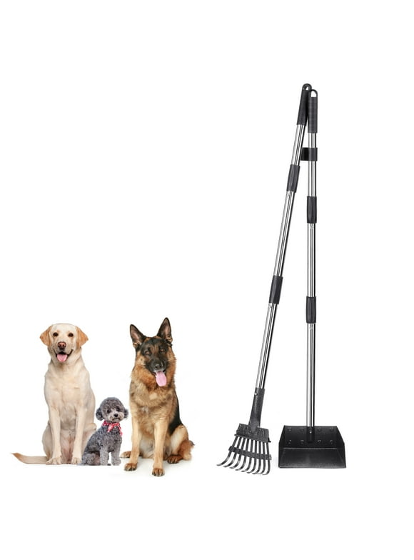 Pooper Scoopers in Dog Potty Training