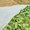 thumbnail image 3 of Agfabric Warm Worth Roll Floating Row Cover & Plant Blanket, 0.55oz Fabric of 5x100ft for Frost Protection, Harsh Weather Resistance& Seed Germination, 3 of 5