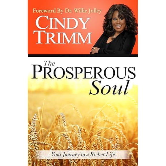 Pre-Owned The Prosperous Soul: Your Journey to a Richer Life (Paperback) 0768405181 9780768405187