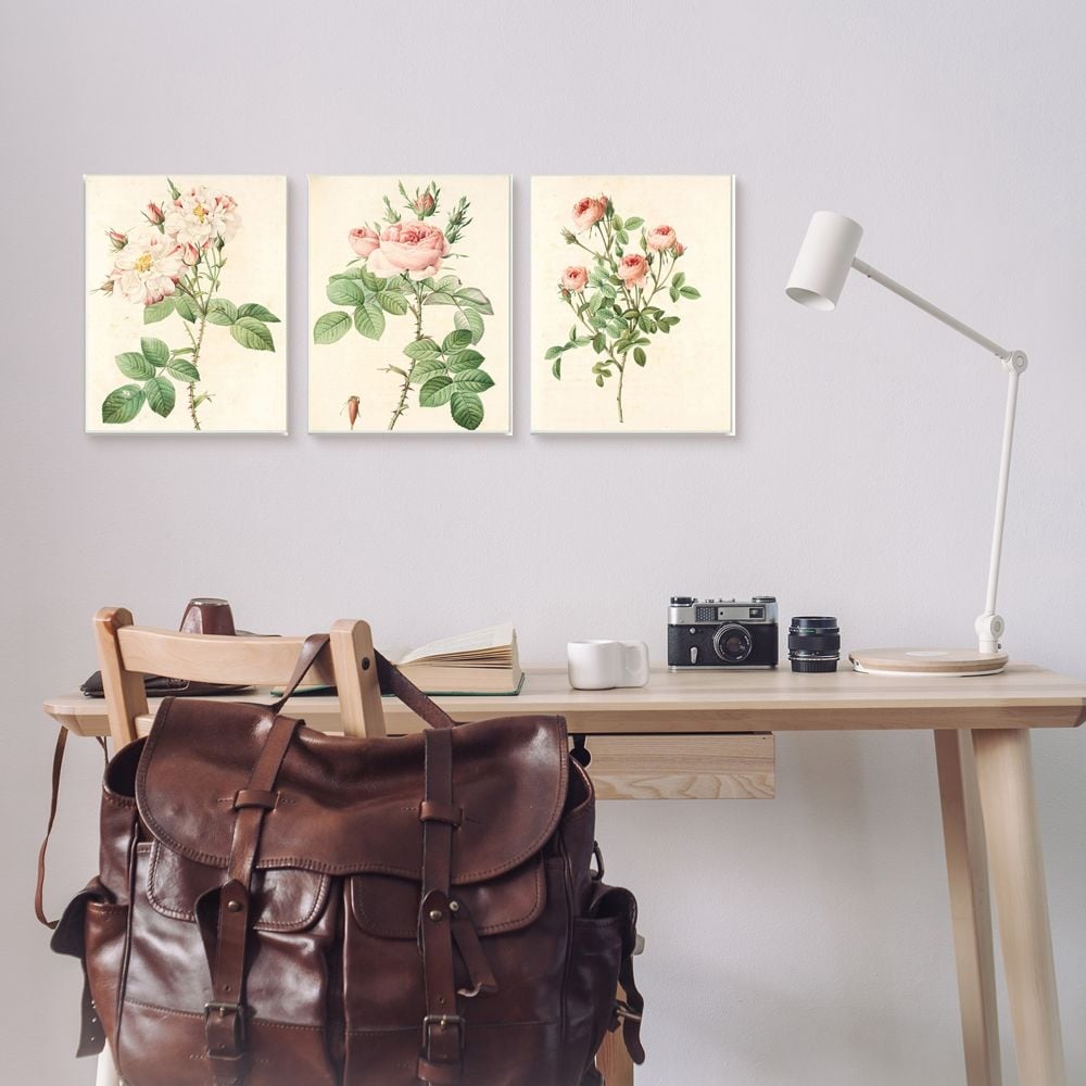 Stupell Industries Vintage Pink Rose Illustrations with Floral Stem Detail Designed by Ziwei Li