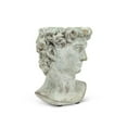 thumbnail image 2 of Abbott Collection AB-27-DAVID-580-XS 6 in. Male Head Planter, Grey - Extra Small, 2 of 4