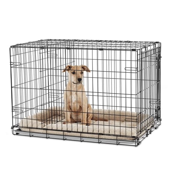 -Door Dog Crate Large 36" L X 22.5" W X 24.9" H Black: No Handles