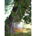 thumbnail image 3 of Koolatron WT1 Wasp Trap, 3 of 3