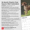 thumbnail image 6 of German Shorthaired Pointers 2025 12 X 24 Inch Monthly Square, 6 of 9