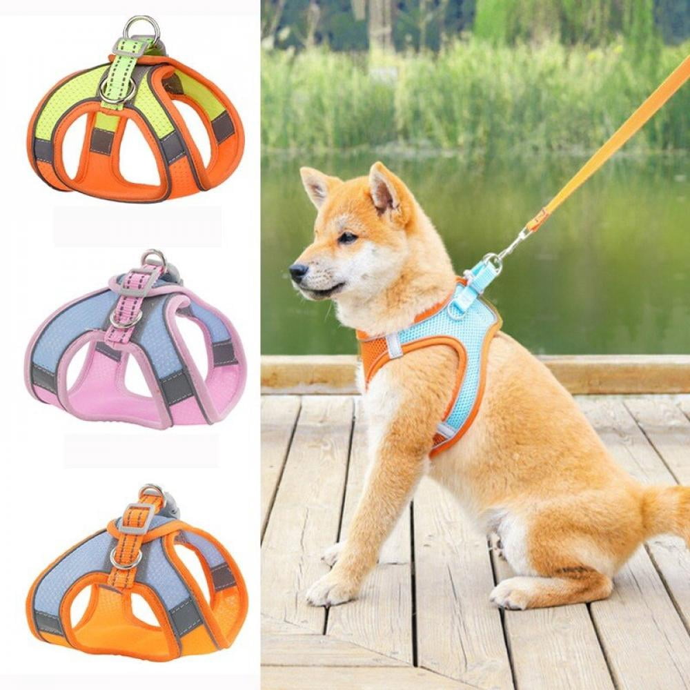 pug leash