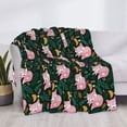 thumbnail image 3 of Naloa Pink Sleeping Fox Flannel Fleece Throw Blanket for Bed Couch, Thick Blanket - All Seasons Suitable for Women, Men and Kids-80"x60", 3 of 6