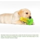 thumbnail image 1 of Puppy Teething Chew Toys, Dog Chew Toys - Corn Stick Tough Toys For Training And Cleaning Teeth, Squeaky Suction Cup Toothbrush Interactive Toy For Sm, 1 of 5