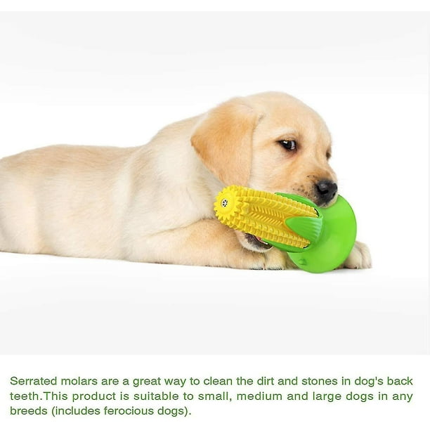 Puppy Teething Chew Toys, Dog Chew Toys - Corn Stick Tough Toys For Training And Cleaning Teeth, Squeaky Suction Cup Toothbrush Interactive Toy For Sm