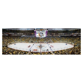 Fanatics Authentic 2017 NHL Stadium Series Philadelphia Flyers vs.  Pittsburgh Penguins Framed 15 x 17 Match-Up Collage