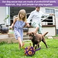 thumbnail image 2 of Balón de fútbol para perros QDAN con correas para perros medianos y grandes, 2 of 7