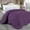 Plum, variant on Comforter - 100% Egyptian Cotton 800 Thread-Count 400 GSM Fiber Fill Duvet Insert Comforter, 1-Piece (1pc Comforter) - Super King Size (116" x 98") Inch, Plum Solid