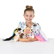 Kittycorn Surprise Series 3 by ZURU, Plush Toy, Collectible Plush Stuffed Animal for Girls