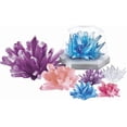 thumbnail image 2 of Combo de cultivo de cristal de lujo de 4 m de Science Kit para niños mayores de 10 años, 2 of 6