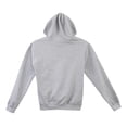 thumbnail image 2 of Sudadera Dc Shoes Hombre Big Logo Gris Hoodie gris M, 2 of 5