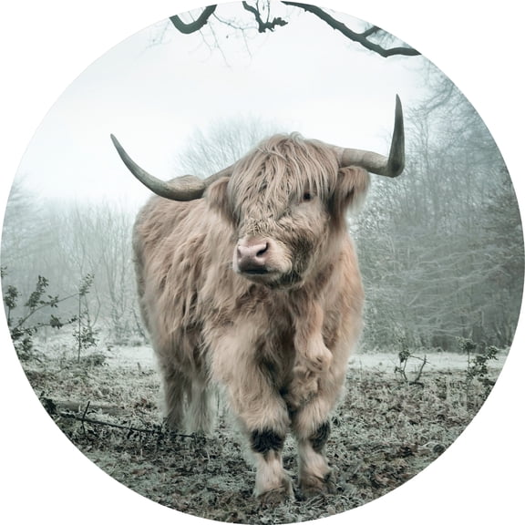 Dundee Deco's Contemporary White Grey Highland Cow Circular Peel and Stick Wall Mural, 28 in Diameter (4 sq ft.)