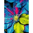 thumbnail image 2 of Bannon, Heidi 12x14 White Modern Wood Framed Museum Art Print Titled - Clematis Abstract, 2 of 4