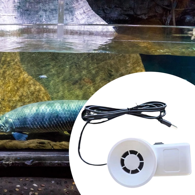 cold water fish tank accessories Aquazoo Aquarium Decor Mountain View Stone Ornament, Premium Landscape Decorations, Fish Tank Accessories, Ideal for Betta, Snails, Turtle, Hiding, Playing, Basking and Resting Spots : Pet Supplies AWXZOM Fish Tank Decorations (fish