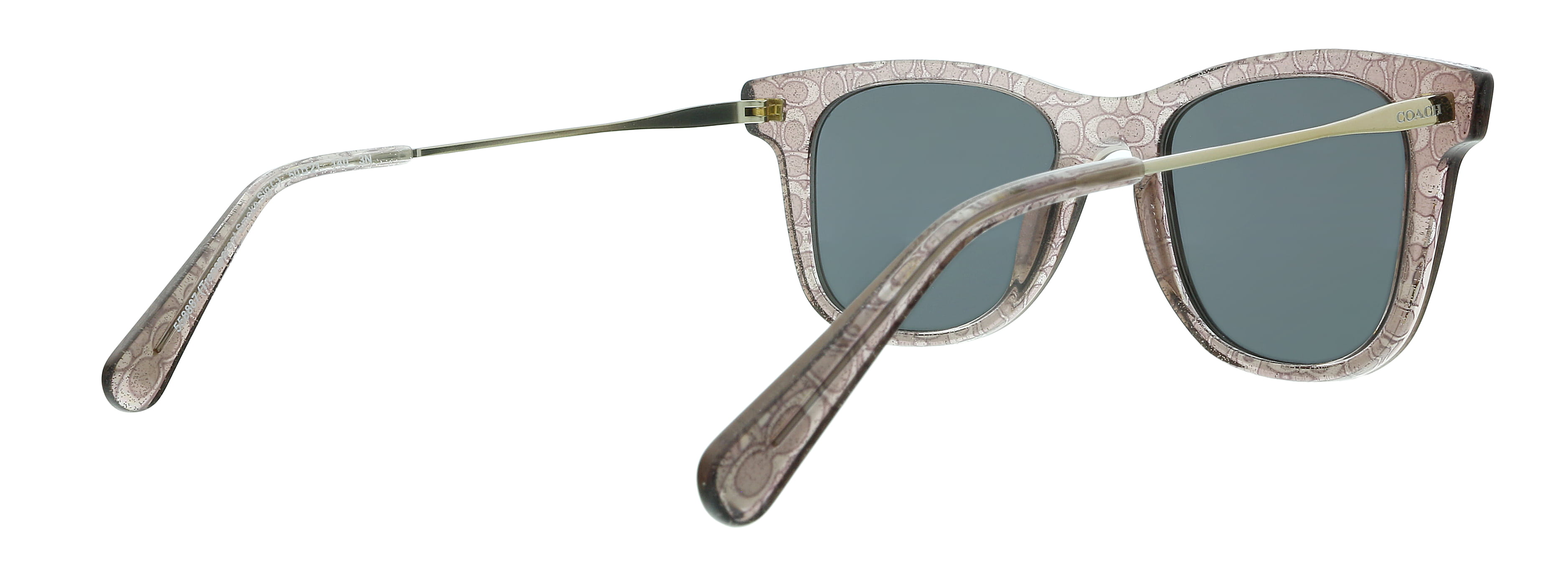 Coach Sunglasses HC8385U 579387 Transparent Dark Grey 54 mm Male Acetate Grey