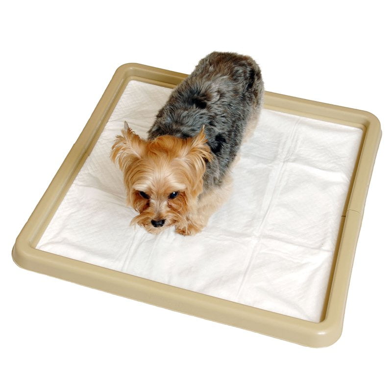 Precision Little Stinker Housebreaking Pad Holder