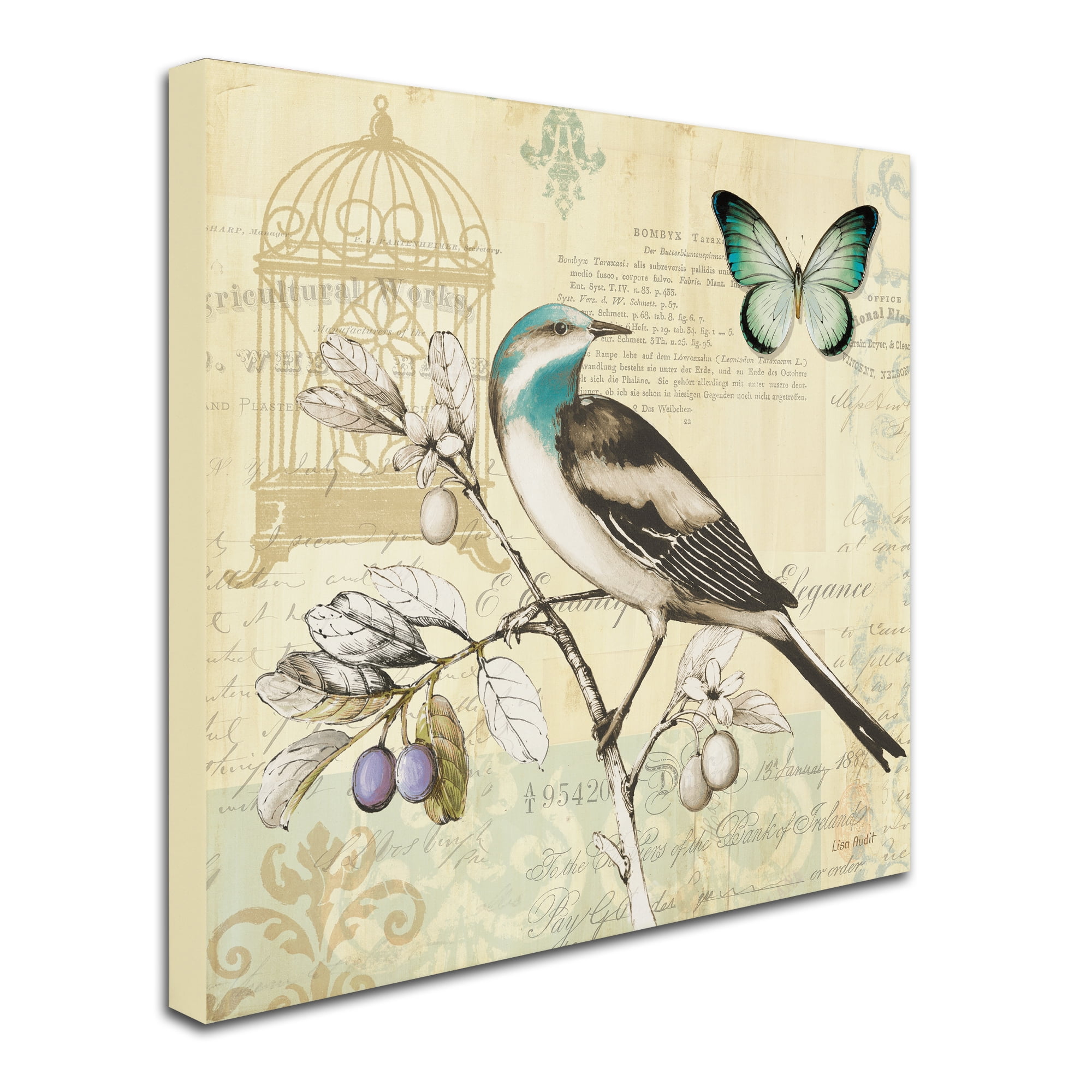 Trademark Fine Art "Freedom II" Canvas Art by Lisa Audit