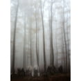 thumbnail image 2 of Martini, Francesco 25x32 White Modern Wood Framed Museum Art Print Titled - Fog, 2 of 4