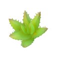 thumbnail image 4 of 10x Fake Succulents Small Vivid Useful Simulated Plants Multi-functional Lifelike Photo Props for Household Yards Lawn Flowerpot Type 4, 4 of 9