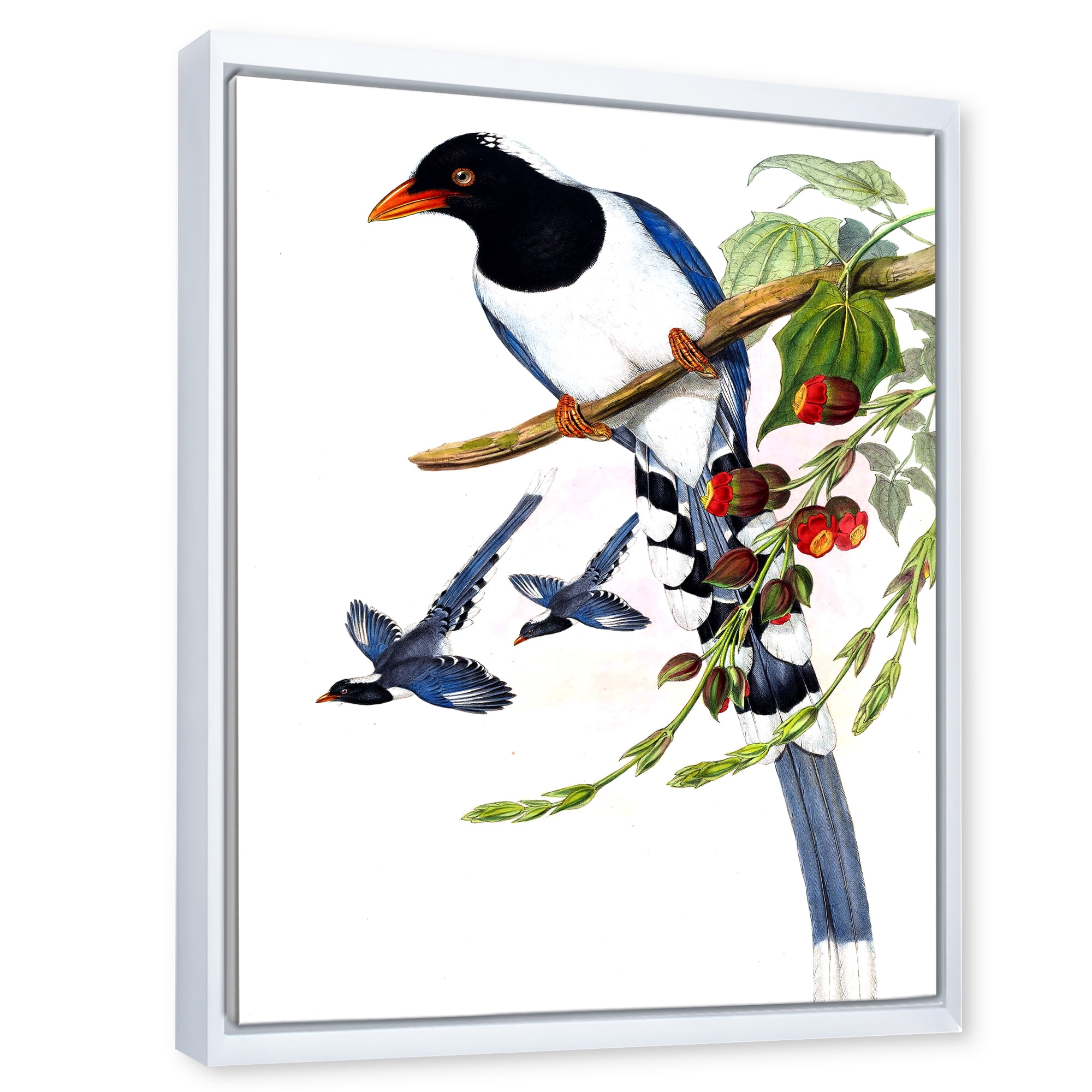 Designart 'Vintage Countryside Birds On Branch IV' Farmhouse Framed Canvas Wall Art Print