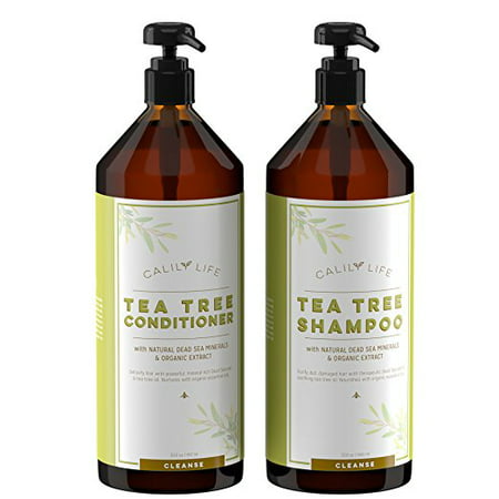 Calily Life Organic Tea Tree Shampoo + Conditioner with Dead Sea Minerals, Duo Set, 30.5 Oz. Each Concentrated Extra-strength Formula Removes Impurities, Refreshes, Softens and (Best Organic Shampoo Brands)