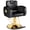 Pink Gold c, variant on Black Hydraulic Barber Chair, Professional Reclining Salon Chair, 360° Swivel Hair Styling Chair, Adjustable Height Hair Stylist Tattoo Salon Beauty Spa Chair Styling Equipment