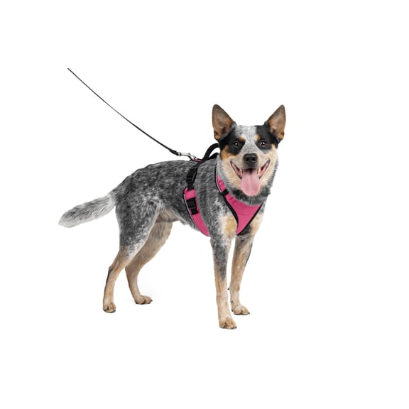 PetSafe EasySport Dog Harness, Adjustable, Padded and Reflective Piping, Medium, Pink
