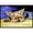 Black, variant on Carolines Treasures 7357JMAT Yorkie Taking a Nap Doormat 24x36 36"L x 24"W multicolor