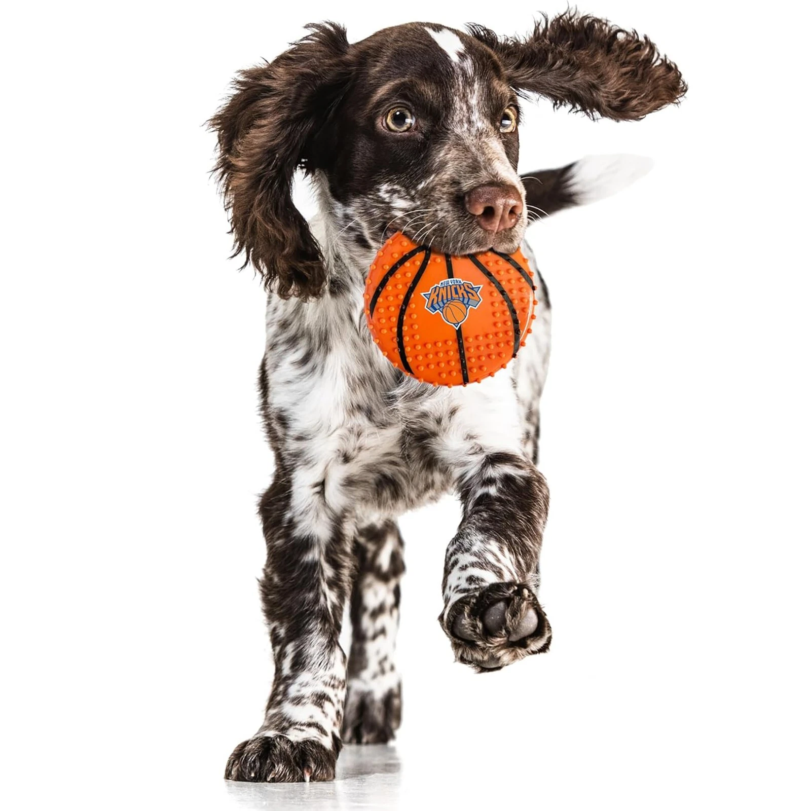 Pets First NBA Hard-Nylon Toy Flavored Dog Chew Toys for Aggressive Chewers