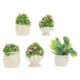 thumbnail image 1 of 5Pcs Mini Plant Bonsai Adornment Resin Bonsai Decor Micro Landscape Prop, 1 of 4