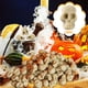 thumbnail image 1 of Mini calaveras de plástico para Halloween, figuras en miniatura, adornos de cabezas de calaveras, decoraciones de Halloween para manualidades de Halloween, accesorios de broma para el hogar, regalos d, 1 of 7