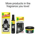 Little Trees Air Freshener Black Ice Fragrance 6Pack