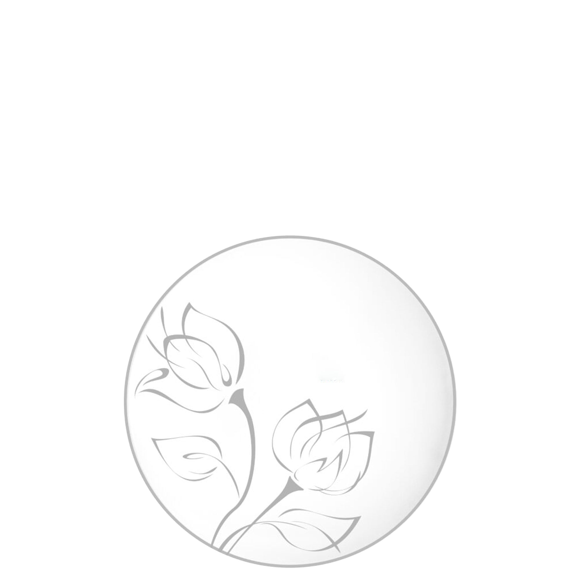 (240 PACK) EcoQuality 6" inch Round White Plastic Plates with Silver