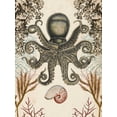 thumbnail image 2 of McCavitt, Naomi 15x18 White Modern Wood Framed Museum Art Print Titled - Antiquarian Menagerie - Octopus, 2 of 4