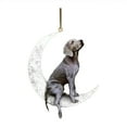 thumbnail image 3 of Dog Sit On The Moon Dog Memorial Keepsake Christmas Remembrance Ornament to Remember Loved - Loss of Pet Gifts, 3 of 5