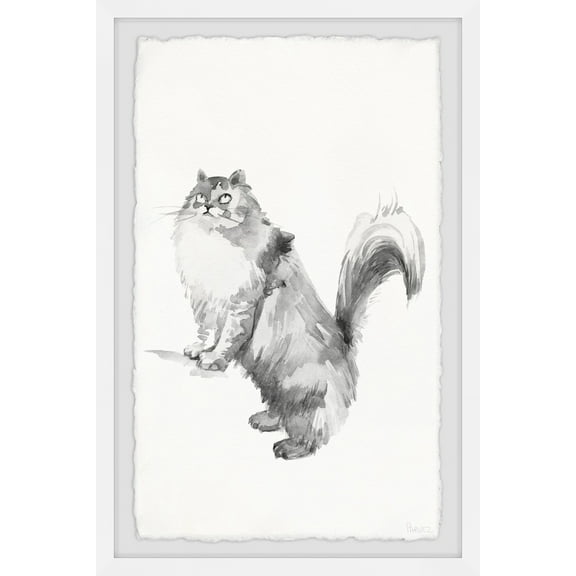 Parvez Taj Gray Maine Coon Framed Wall Art
