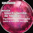 thumbnail image 2 of L'Or&eacute;al Professionnel Paris Curl Expression Shampoo | Shampoo de limpieza profunda para rizos | Libre de sulfatos, parabenos y siliconas |Limpia suavemente y elimina las impurezas | Con tec, 2 of 5