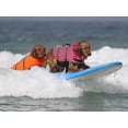 thumbnail image 2 of Chaleco salvavidas para perros, chaleco salvavidas estampado de verano para mascotas, ropa de seguridad para perros, traje de baño para mascotas, traje de baño de seguridad Ns2 # y XXS, 2 of 4