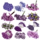 thumbnail image 4 of Matsuzay 6/8/10/12/50/70/90 Uds. Mezcla de flores moradas cereza estambre bayas paquete DIY Navidad pastel de boda caja de regalo decoración de coronas Flores artificiales No.19 Matsuzay HA002016-19, 4 of 6